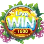 livewin-1688s.com favicon